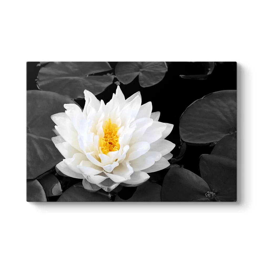 Lotus Güzelliği Tablosu - Model 1